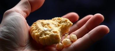 Dream symbol: Biscuit