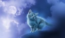 Kitten dream symbol meaning - Symbol of innocence, vulnerability, and the call to nurture emerging life.