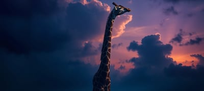 Dream symbol: Giraffe