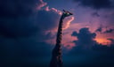 Giraffe dream symbol meaning - Symbol of elevated perspective, spiritual ascent, and gentle strength.