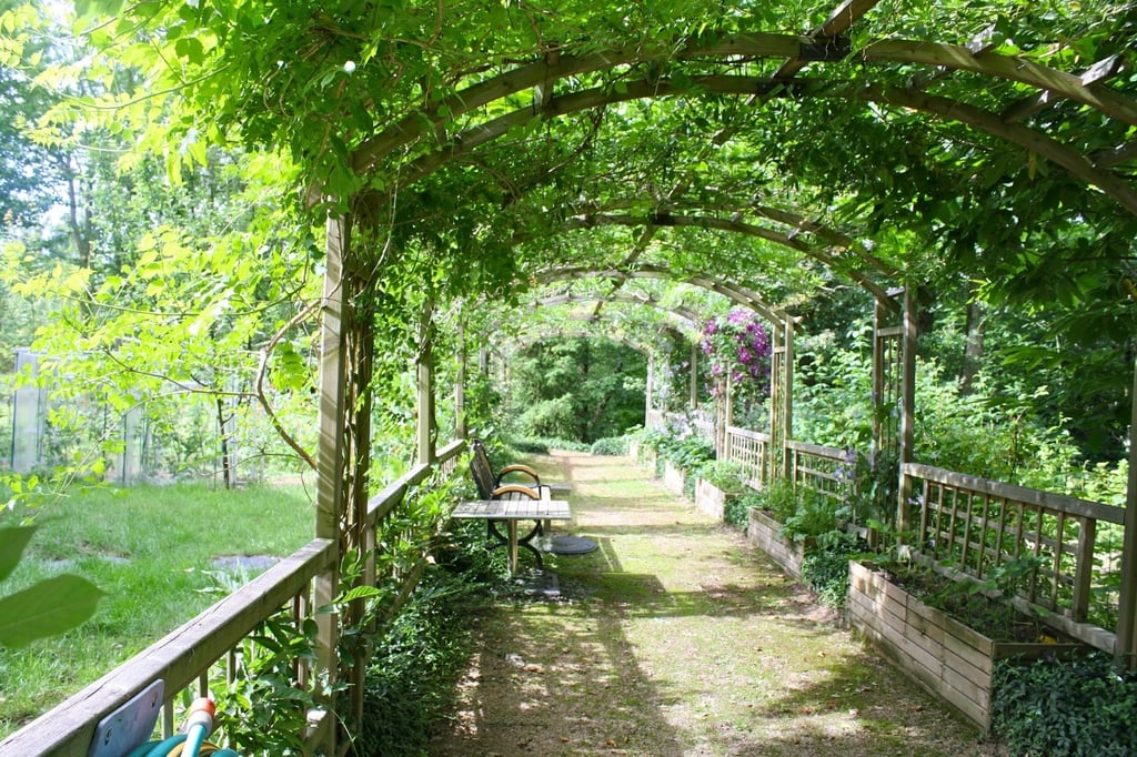 Read more about the article Exploring Pergola Materials: Making the Right Choice
