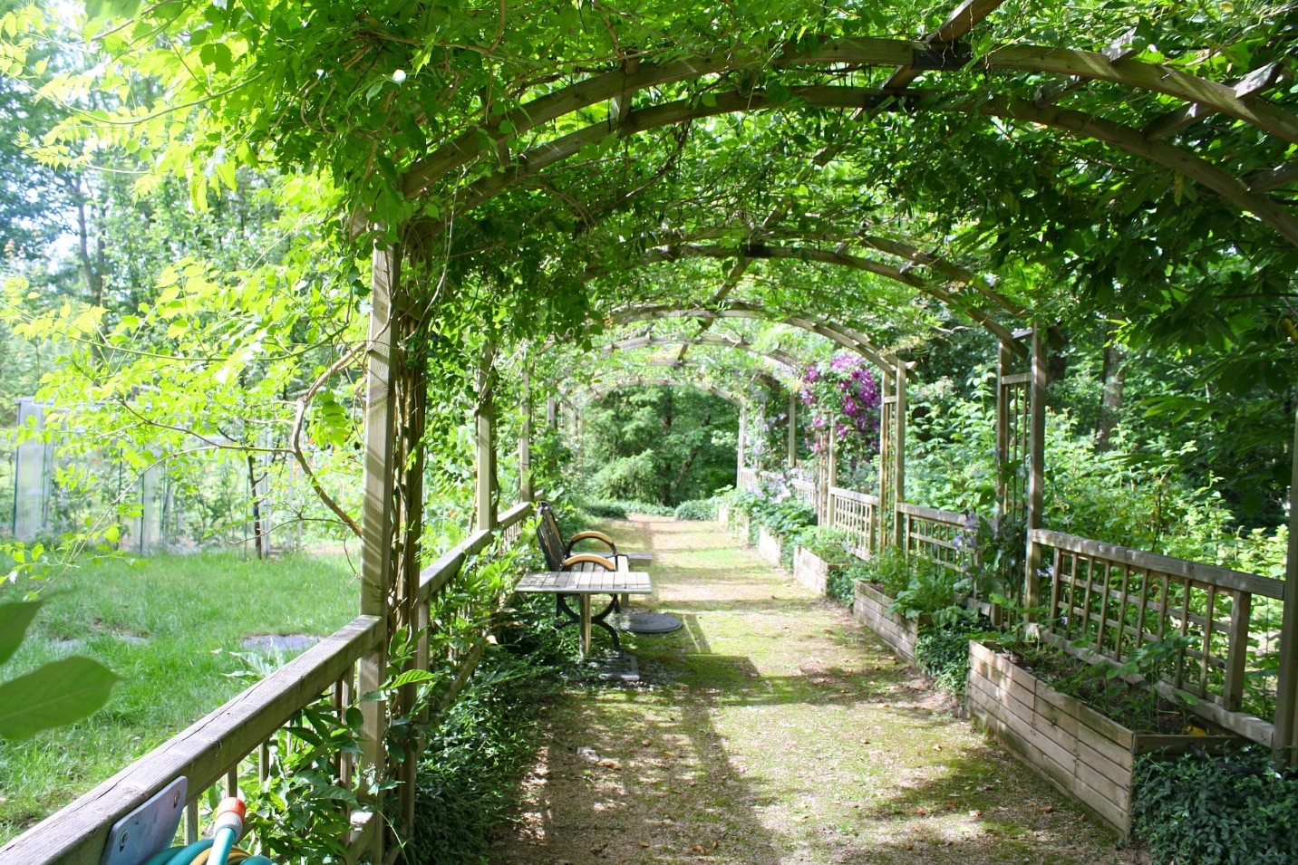 You are currently viewing Exploring Pergola Materials: Making the Right Choice
