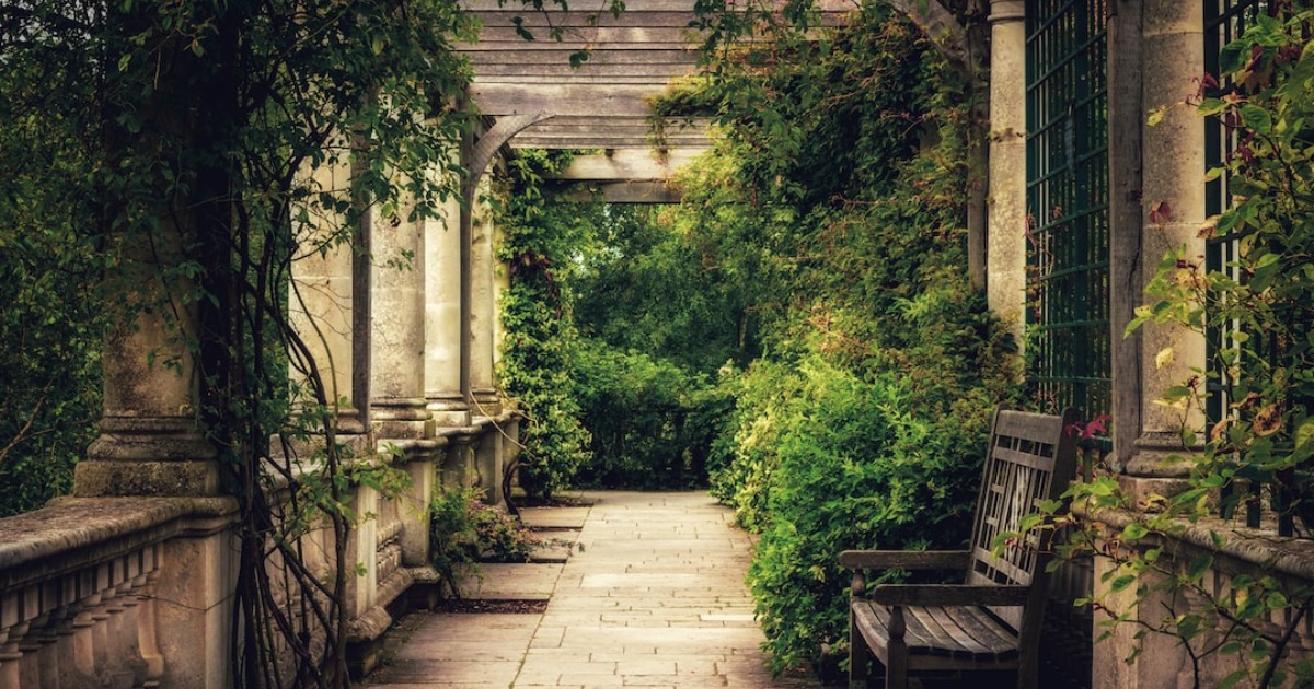 You are currently viewing 10 Creative Ways to Decorate Your Pergola