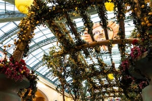 Read more about the article Pros And Cons of Installing a Pergola