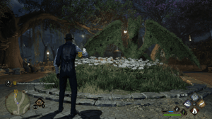 Dragon magico en Hogwarts