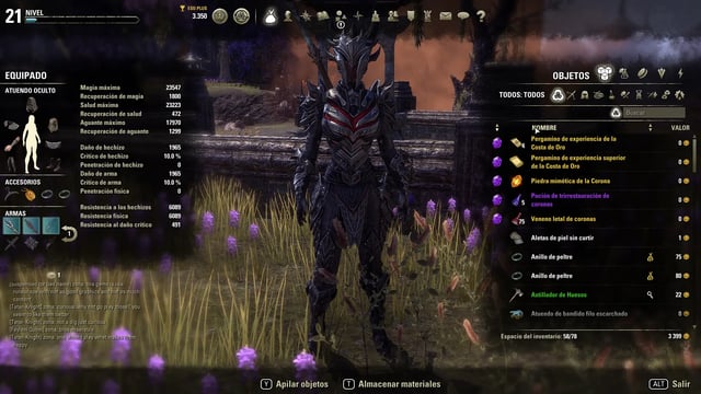 The Elder Scrolls Online - Character
