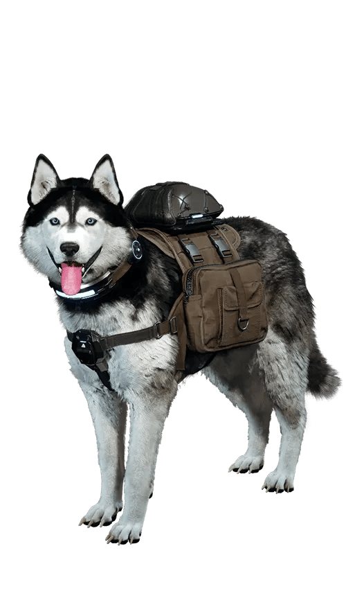 First Descendant Actualización 1.3.3 - Snowy Dog