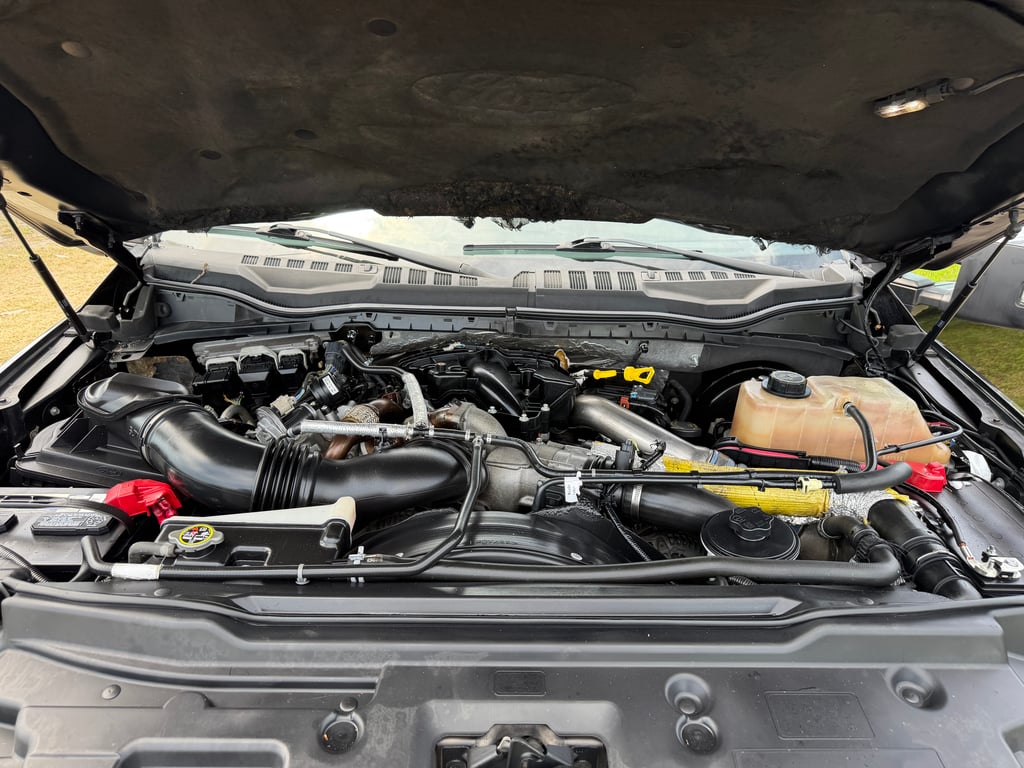 2017 FORD F-250 PLATINUM SUPER DUTY - Photo 8
