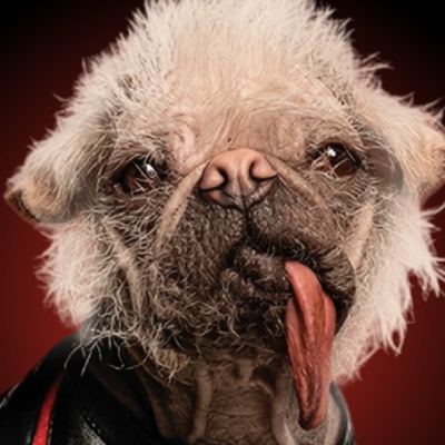 Peggy The Dog