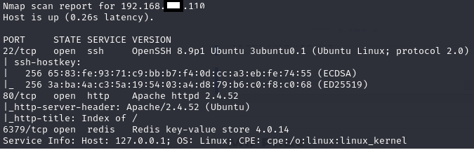 OSCP+ .110 ''Redis'' Stand-alone machine