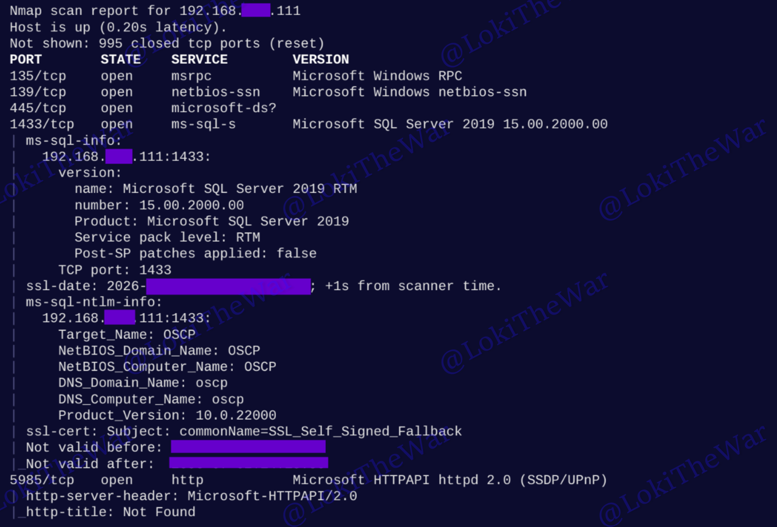 OSCP+ .111 135 139 445 1433 Standalone Machine Report