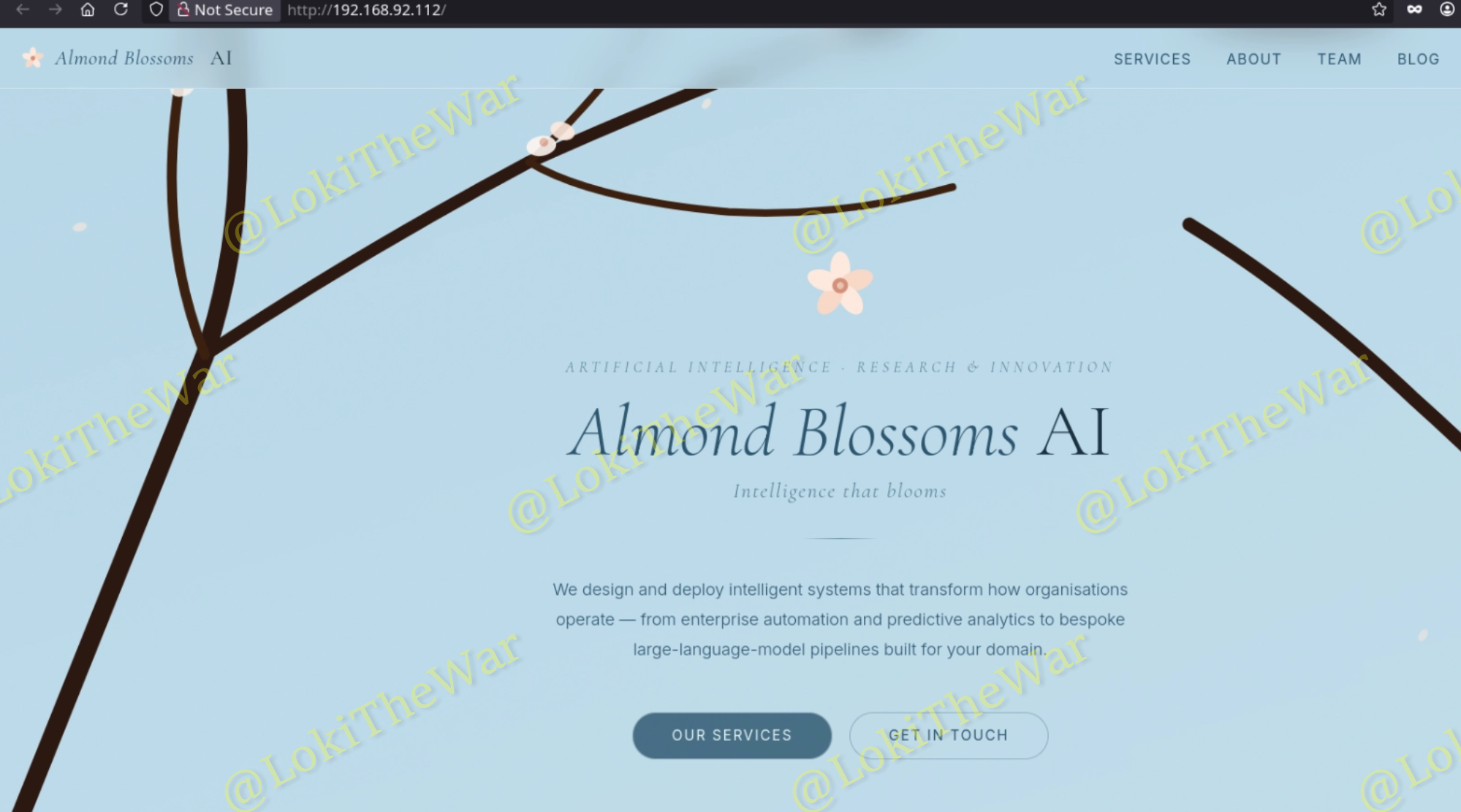 OSCP+ .112 ''almondblossoms.ai'' Standalone Machine Report
