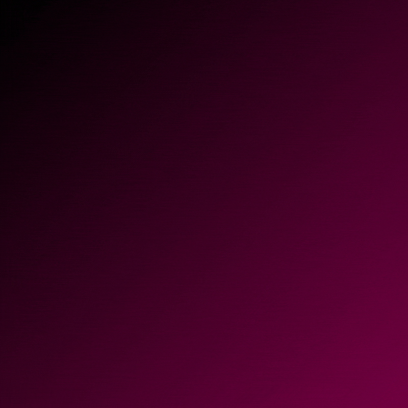 Warp Pro - 1 Year | Private Account 