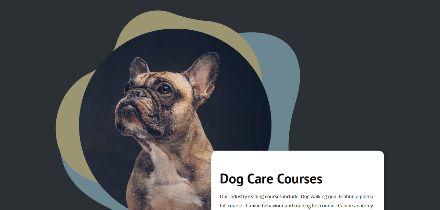 OSCP+ .111 ''Dog Care'' Stand-alone machine
