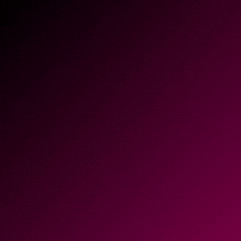 Bolt Pro - 1 Year | Private Account