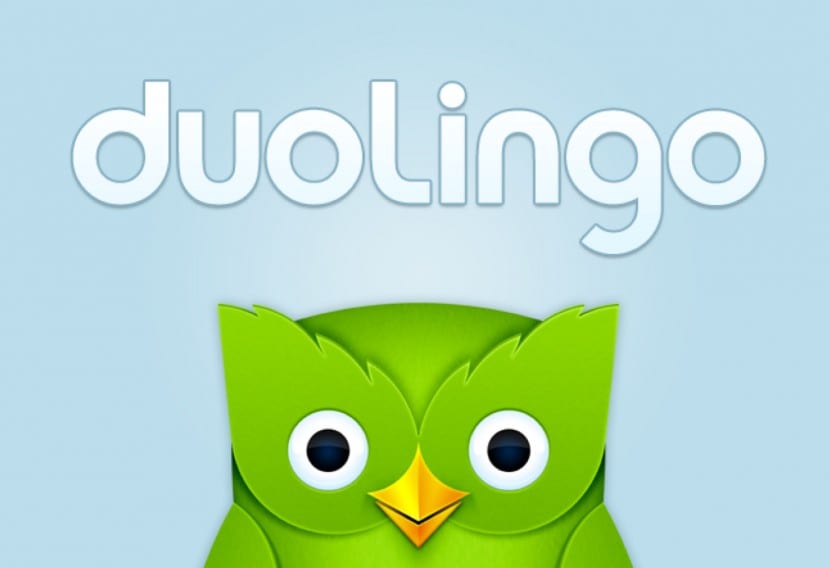 Duolingo / Ask for availability