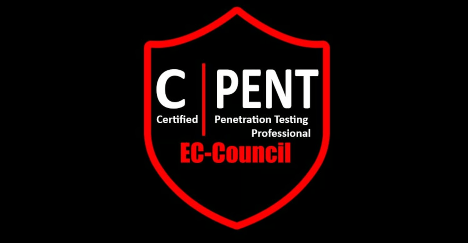 CPENT Exam Report 2 Sets with screenshots