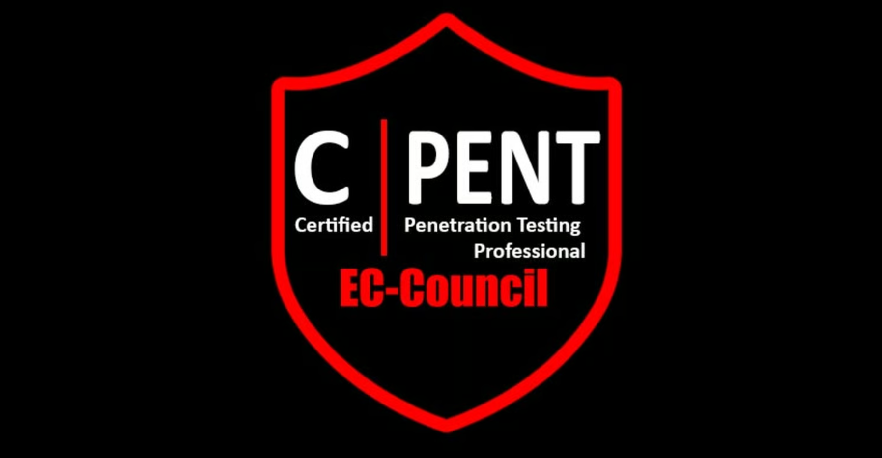 CPENT Exam Report 2 Sets with screenshots