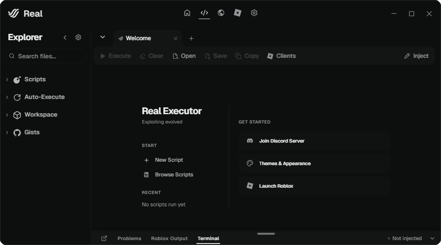 Real Executor
