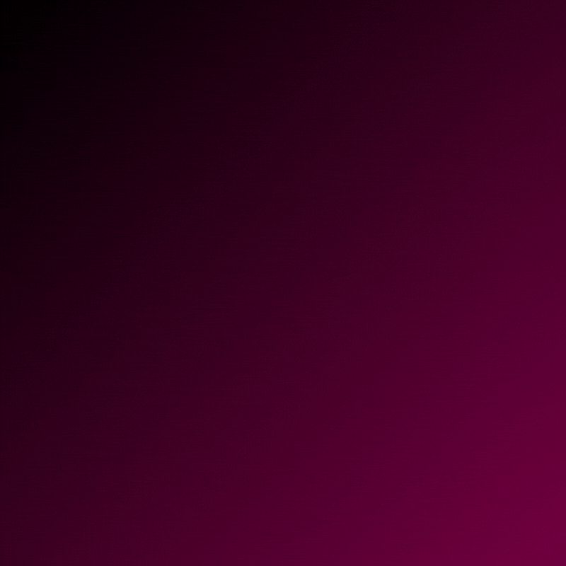 Mobbin Pro - 1 Year | Private Account