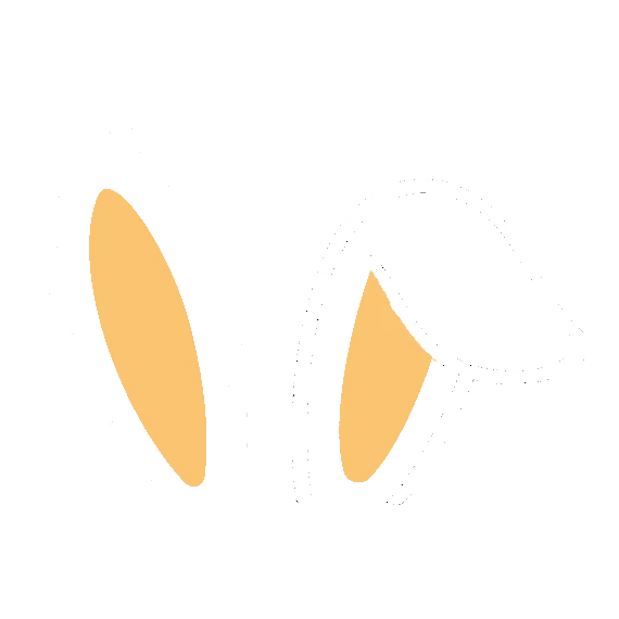 Bunni.fun