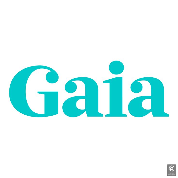 Gaia Premium – 1 Year Warranty