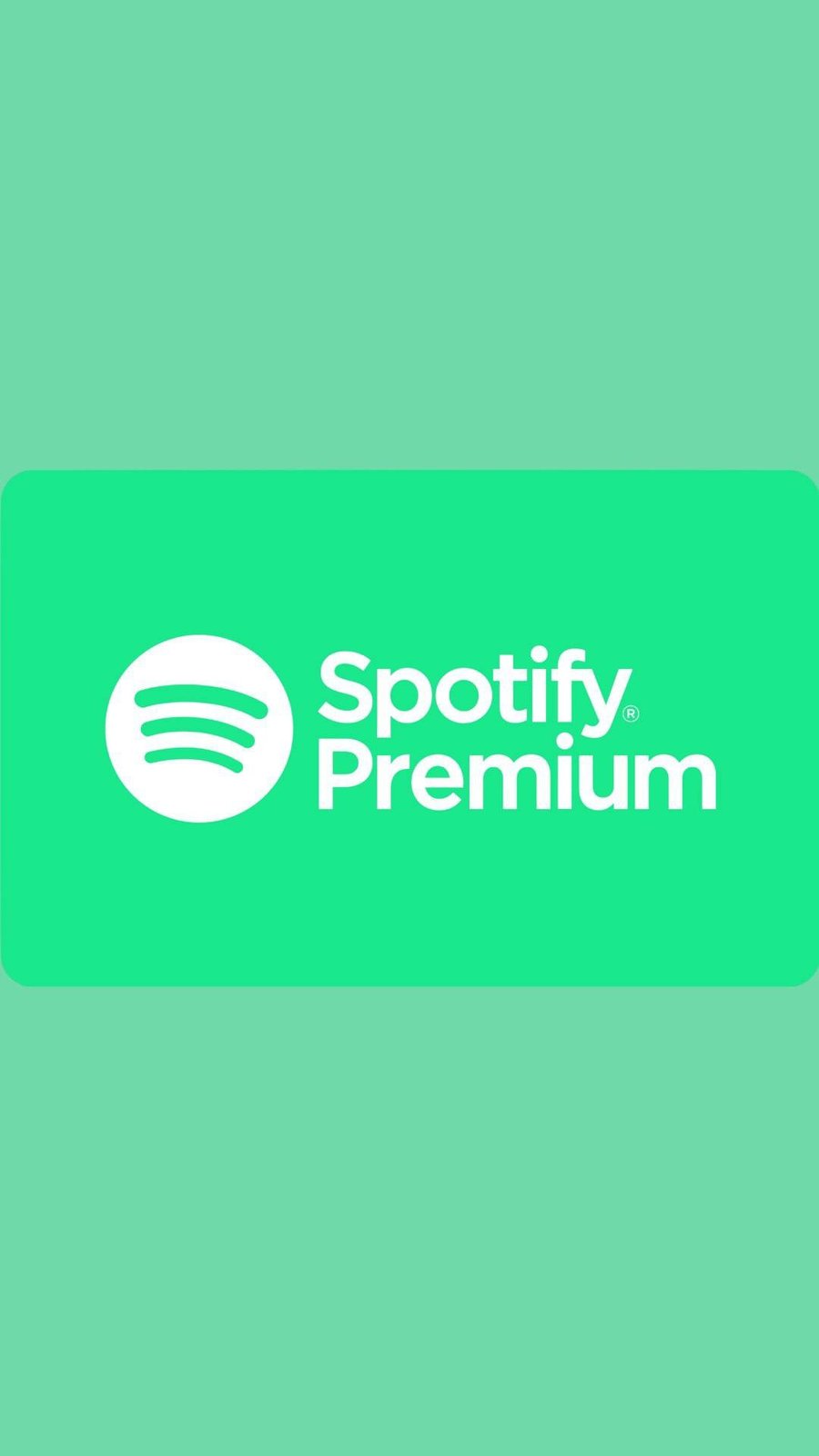 Spotify Individual Plan
