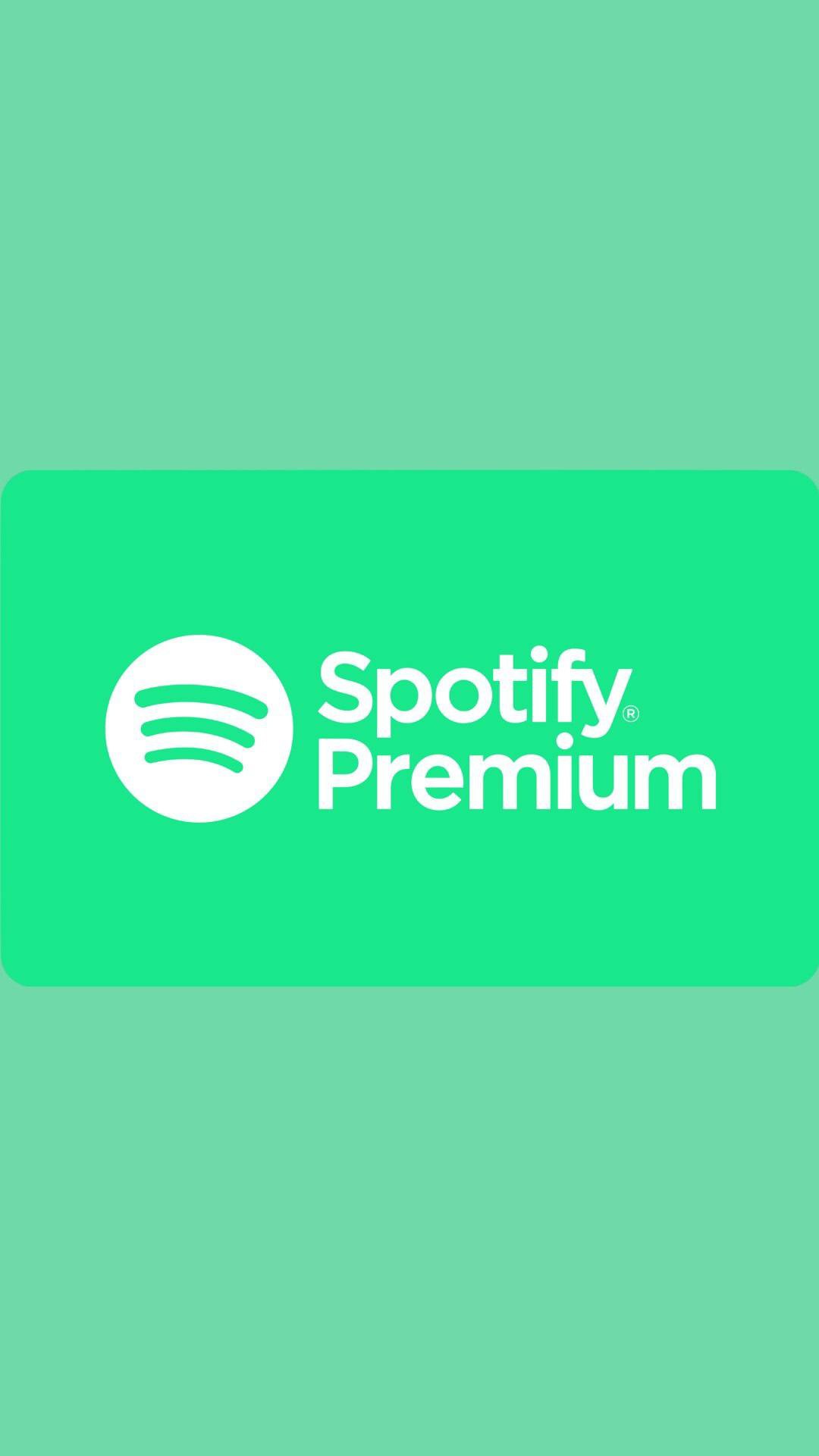 Spotify Individual Plan