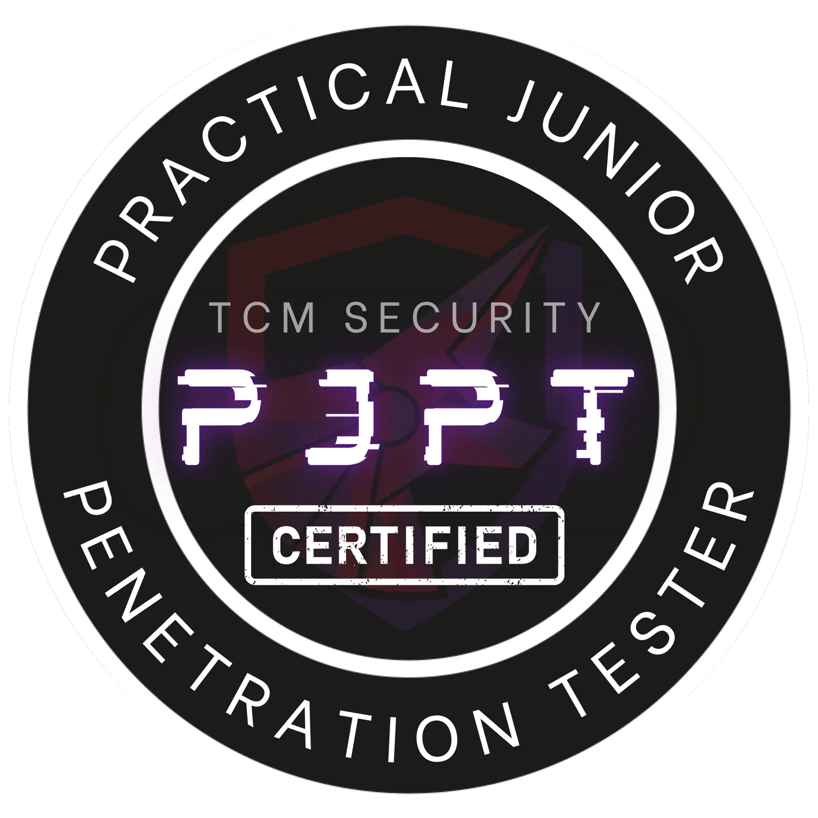 PJPT Exam Report 2026