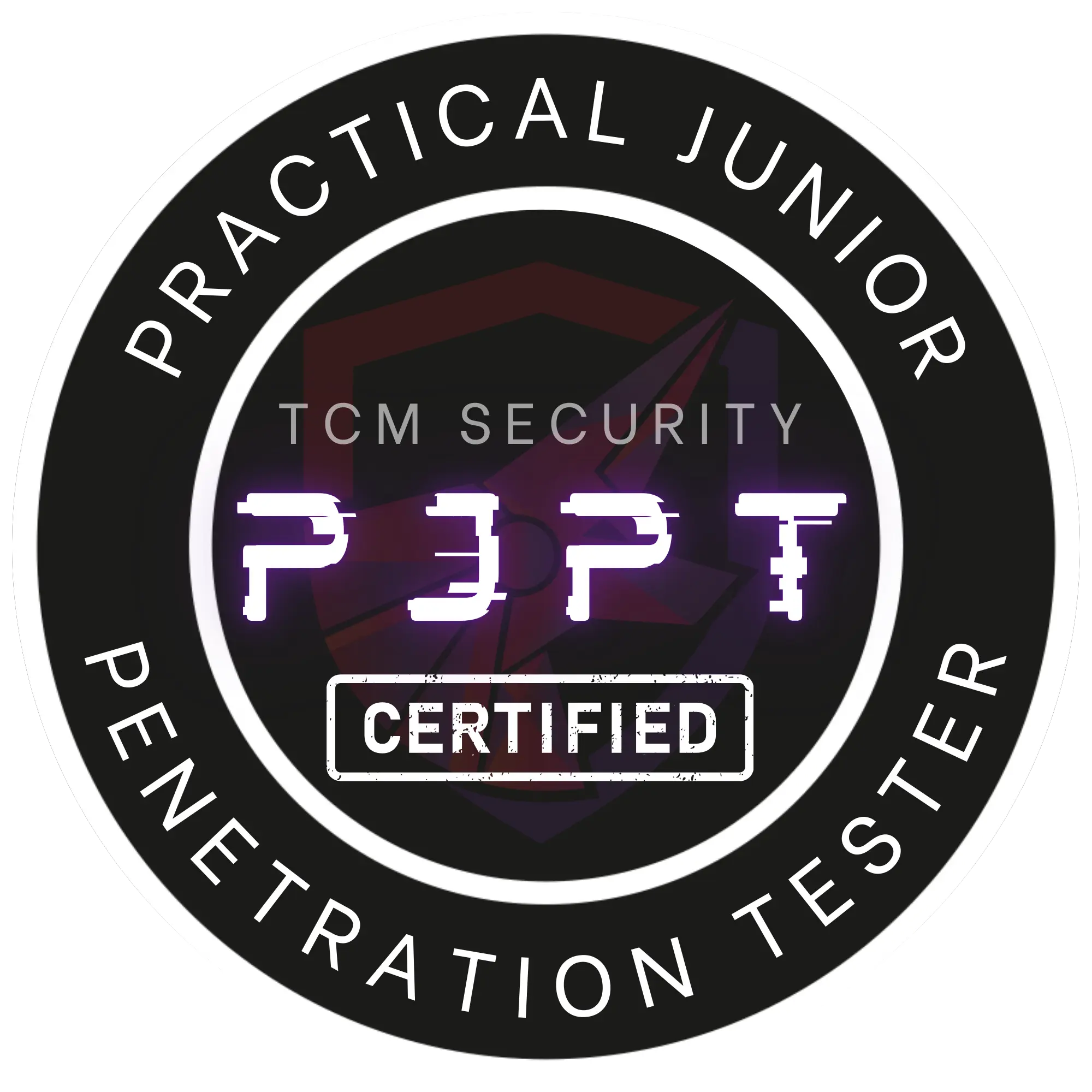 PJPT Exam Report 2026