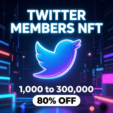 NFT Twitter Members