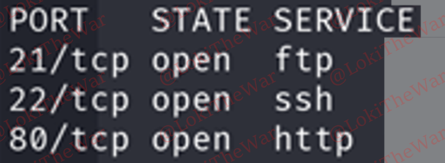 OSCP+ .110- 21,22,80 full Report