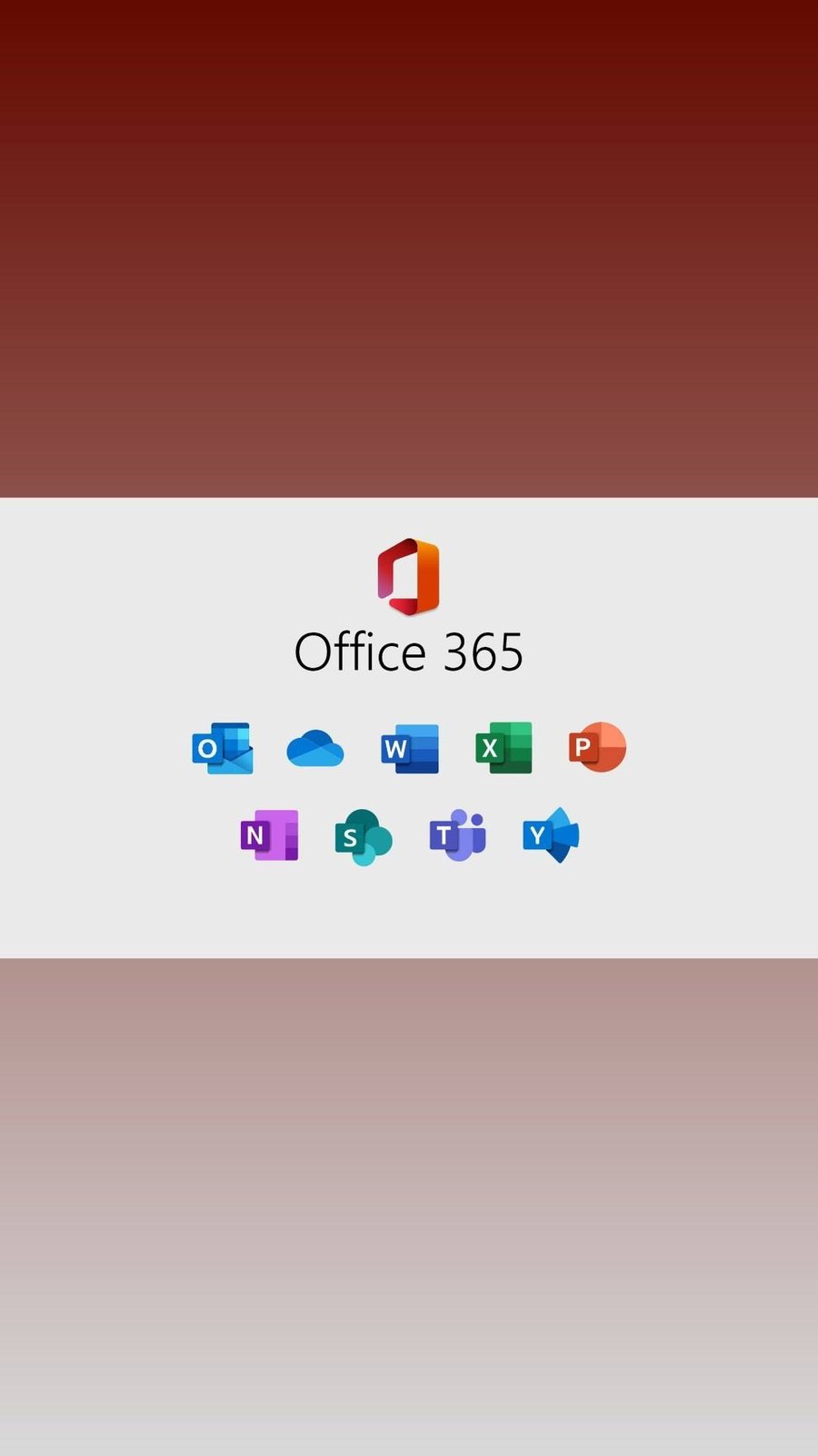 Microsoft 365 - 12 Months