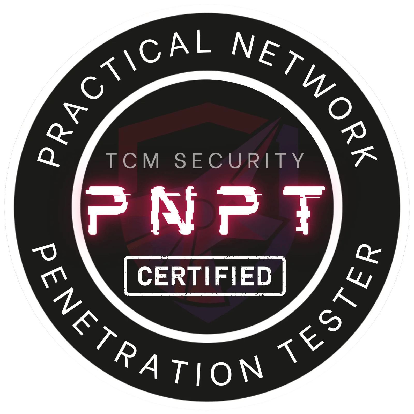 PNPT Exam Report 2026