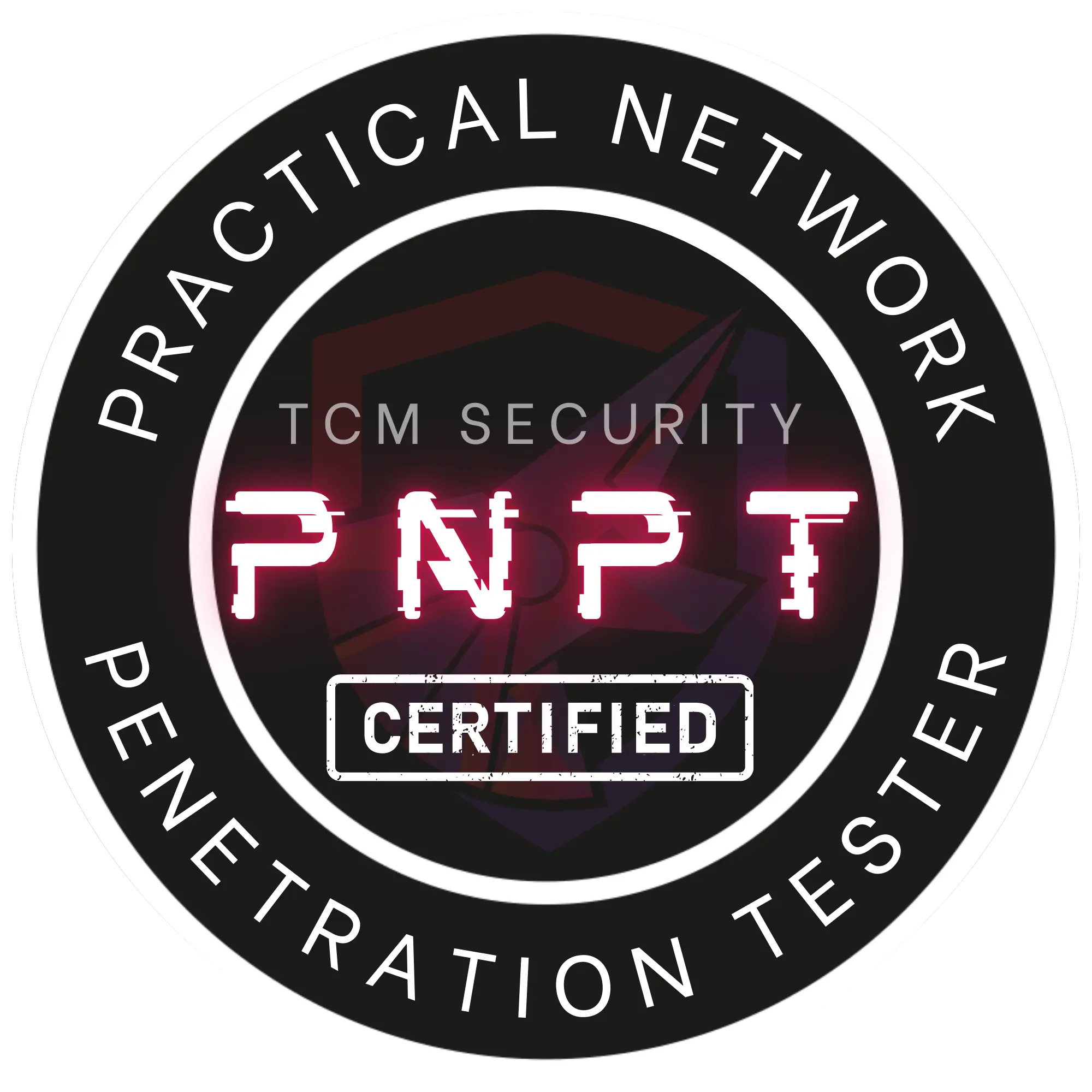 PNPT Exam Report 2026