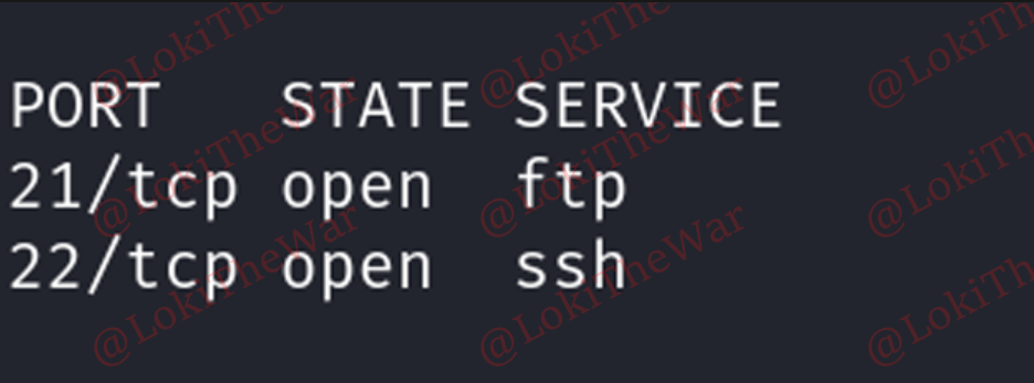 OSCP+ .110- 21,22, UDP-161 full Report