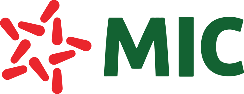 LOGO MIC – NGUYEN BAN