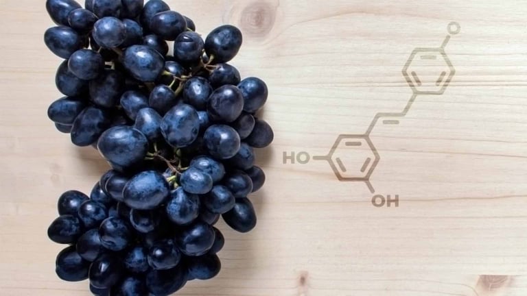 Uvas negras sobre una tabla de madera con la estructura molecular del resveratrol grabada con láser en la superficie