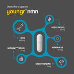 Youngr NMN ingredient infographic