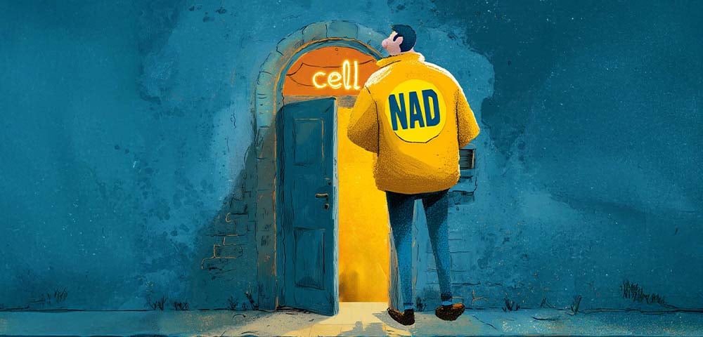 Illustration of a person wearing a “NAD” jacket entering a door labeled “cell”