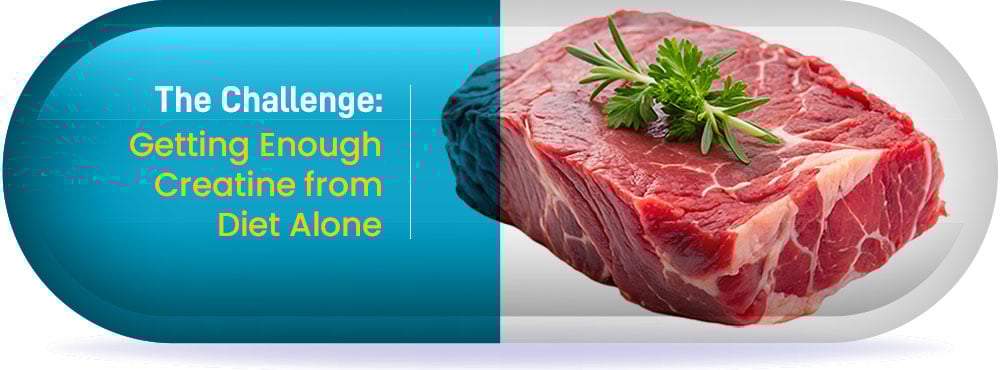 Image of raw steak inside a capsule shape with text about creatine from diet