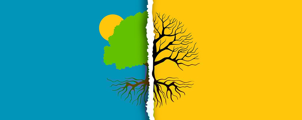 Split image of a healthy tree and a withered tree symbolizing aging and decline