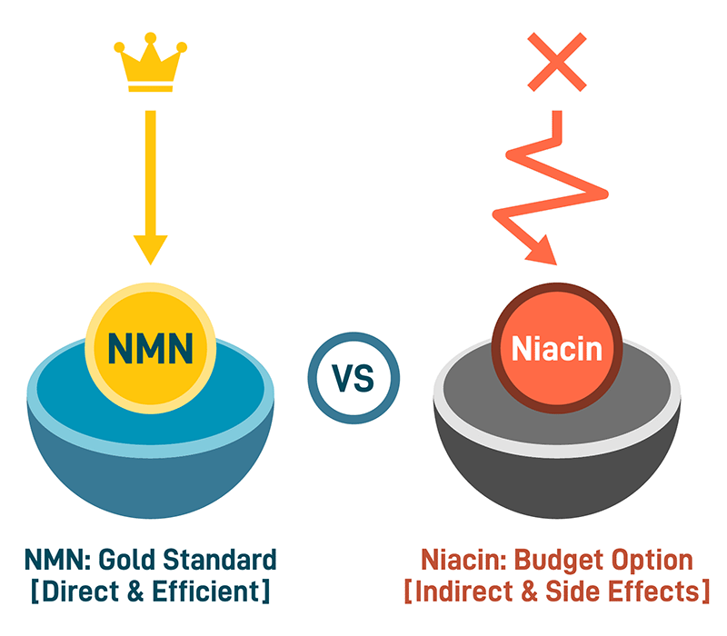Diagrama que compara las vías de NMN y niacina, mostrando a NMN como un precursor directo de NAD frente a la vía indirecta de la niacina