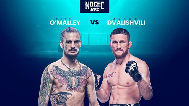 Betking_ng_UFC306.jpg