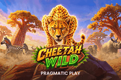 Cheetah Wild