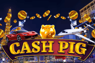 Cash Pig