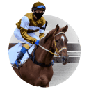 racing-horse-racing