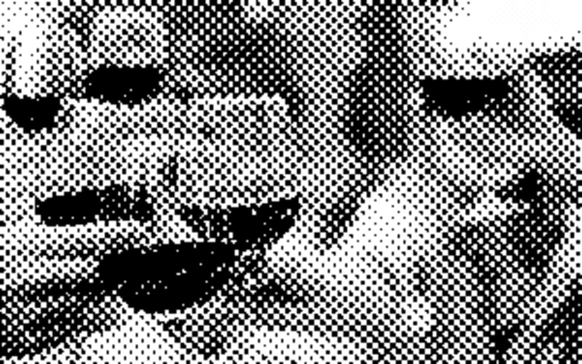 A loud exposed-brick party wine bar on Bukit Pasoh with an open kitchen, two glasses on the counter, a cloudy avant-garde natural wine and a classical red, beside a plate of raw oysters