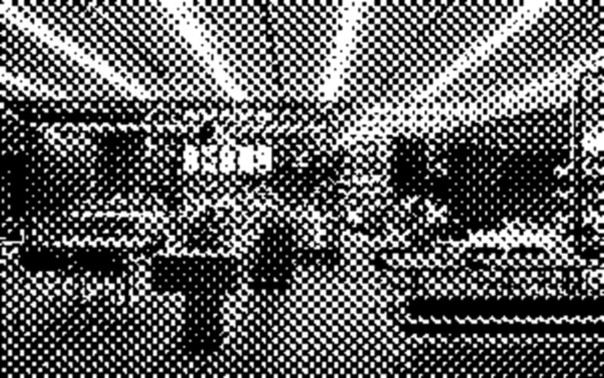 A specialty coffee bar inside a lifestyle enclave with a long brew counter, vinyl wall behind the seating, and a barista preparing a tasting flight of filter coffees
