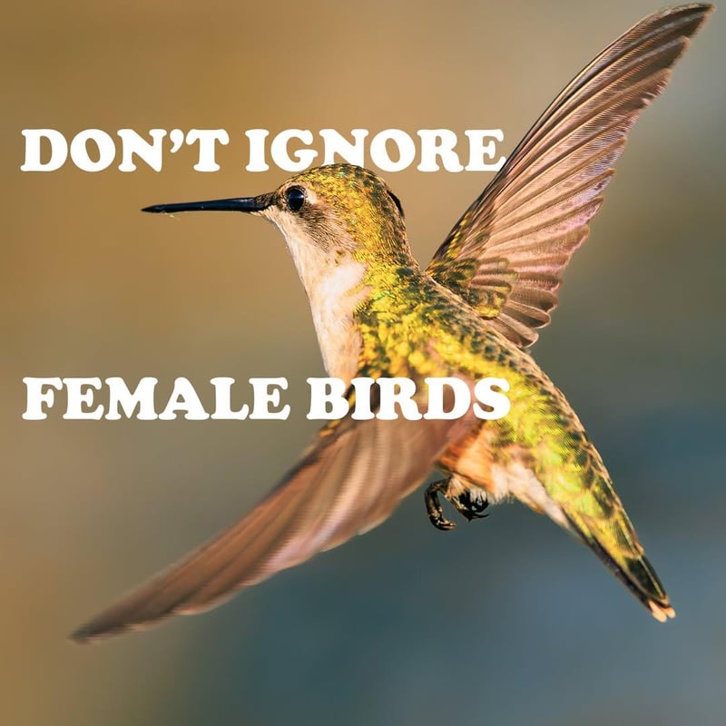 Chirp photo